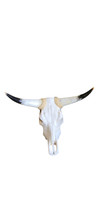 Load image into Gallery viewer, Assorted Small skull