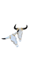 Load image into Gallery viewer, Assorted Small skull