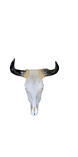 Load image into Gallery viewer, Assorted Small skull